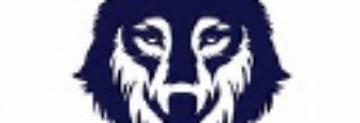 Wolf Auto Center LLC
